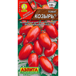 КОЗЫРЬ
