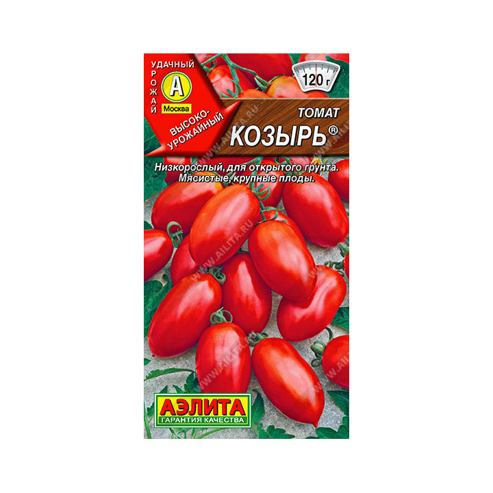 КОЗЫРЬ