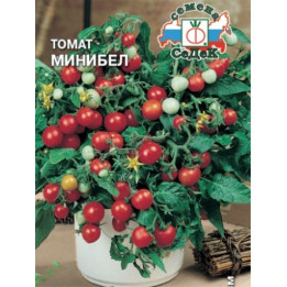 МИНИБЕЛ