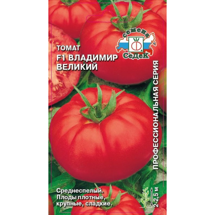 ВЛАДИМИР ВЕЛИКИЙ