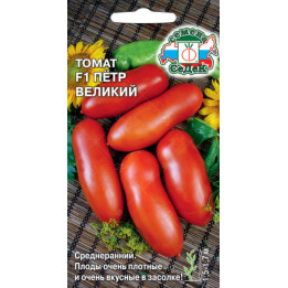 ПЕТР ВЕЛИКИЙ