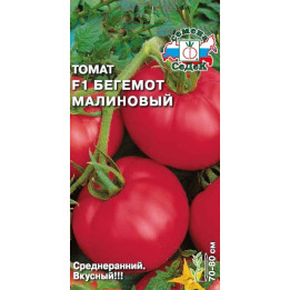 БЕГЕМОТ МАЛИНОВЫЙ