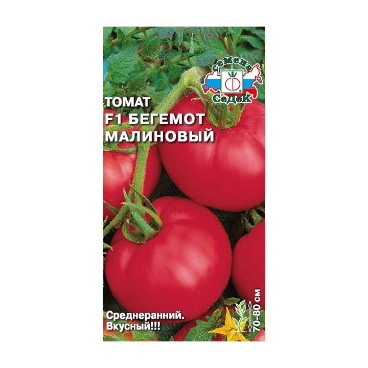 БЕГЕМОТ МАЛИНОВЫЙ