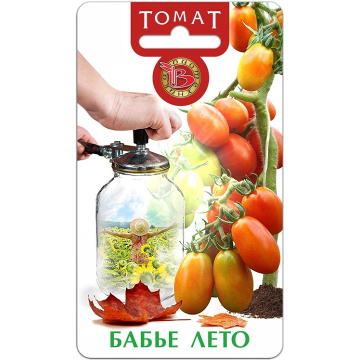 БАБЬЕ ЛЕТО