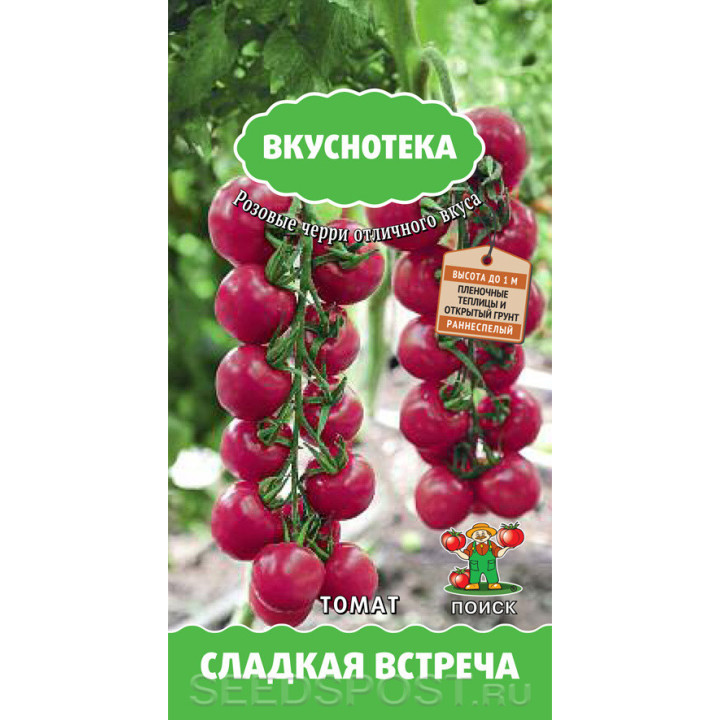 СЛАДКАЯ ВСТРЕЧА