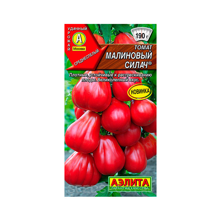 МАЛИНОВЫЙ СИЛАЧ