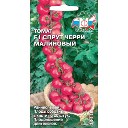 ЧЕРРИ МАЛИНОВАЯ