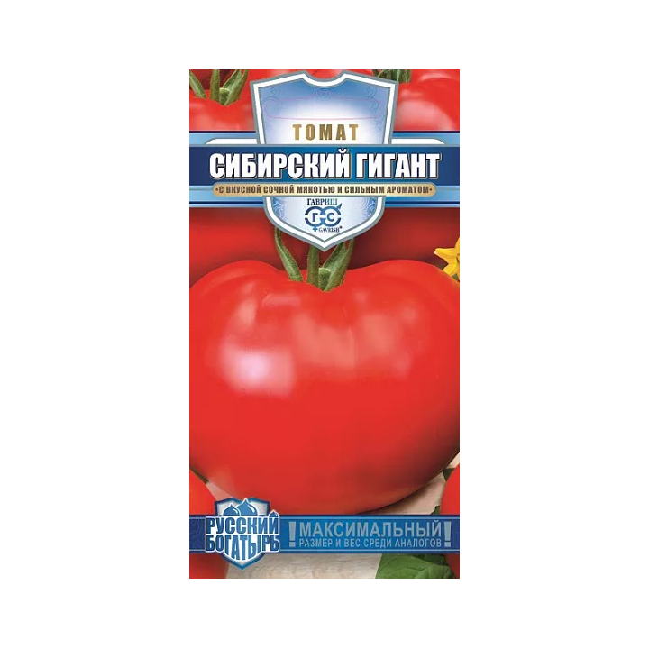 СИБИРСКИЙ ГИГАНТ