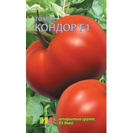 КОНДОР