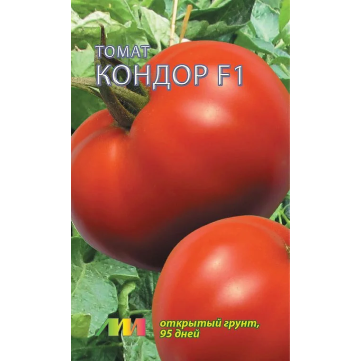 КОНДОР