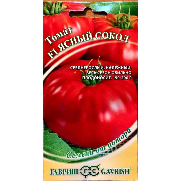 ЯСНЫЙ СОКОЛ