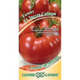 ЗВЕЗДА СИБИРИ