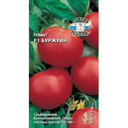 БУРЖУИН