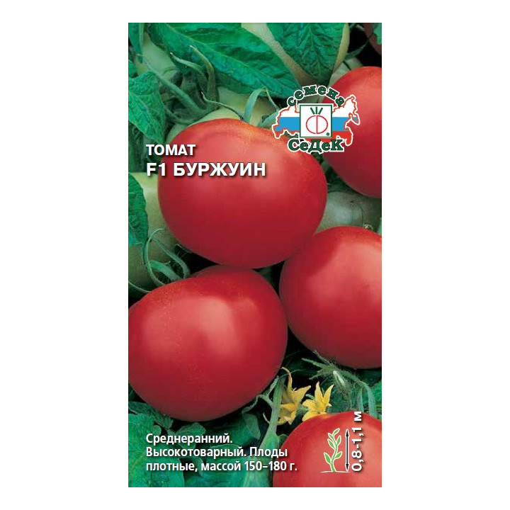 БУРЖУИН