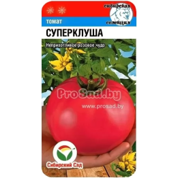 ПЛЮЩИХА