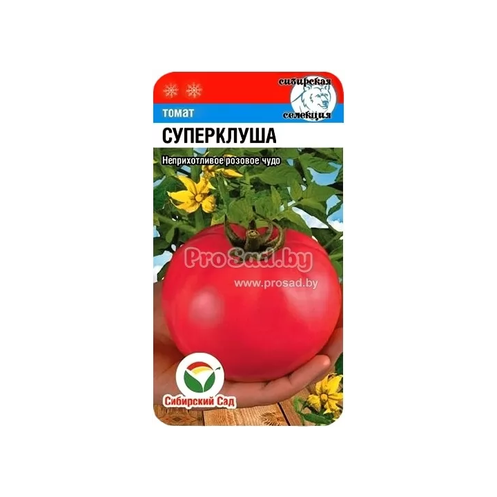 ПЛЮЩИХА