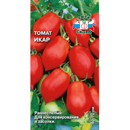 ИКАР