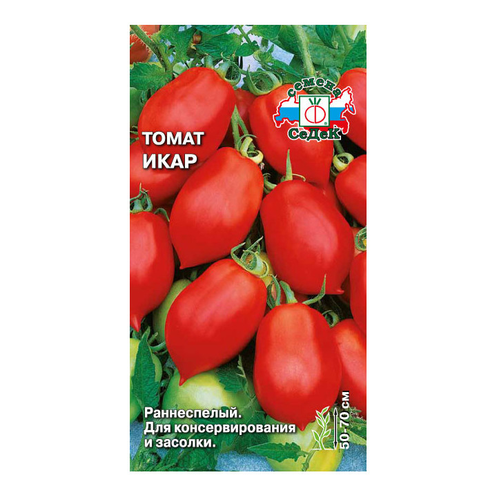 ИКАР