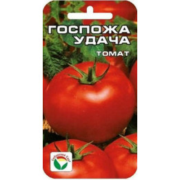 ГОСПОЖА