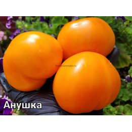 АННУШКА