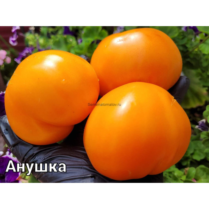 АННУШКА