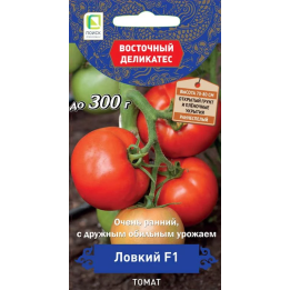 ЛОВКИЙ