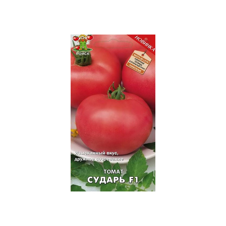 СУДАРЬ