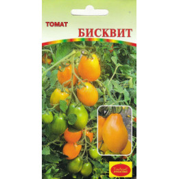 БИСКВИТ