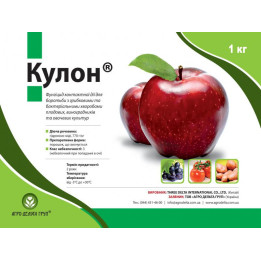 КУЛОН