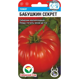 БАБУШКИН