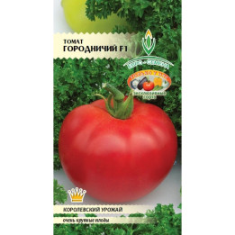 ГОРОДНИЧИЙ