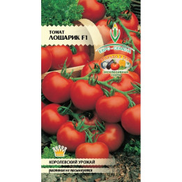 ЛОШАРИК