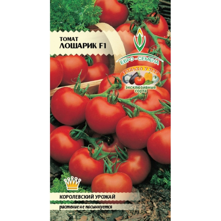 ЛОШАРИК