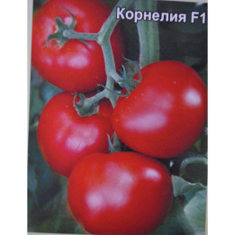 КОРНЕЛИЯ