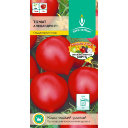 АЛЕХАНДРО