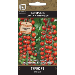 ТЕРЕК