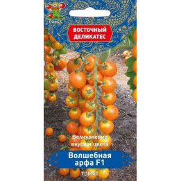 ВОЛШЕБНАЯ АРФА