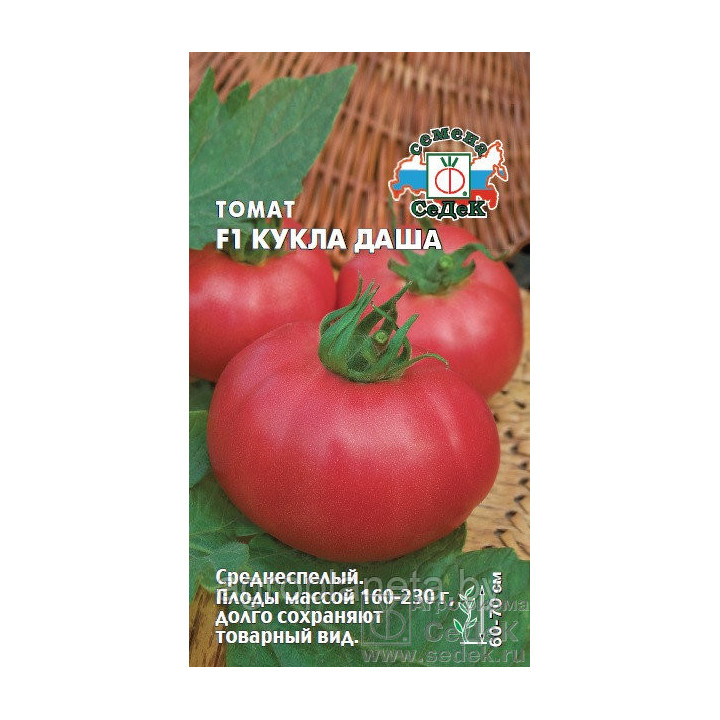 КУКЛА ДАША