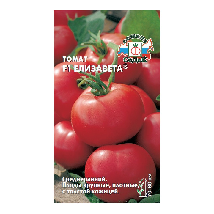 ЕЛИЗАВЕТА