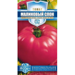 МАЛИНОВЫЙ СЛОН