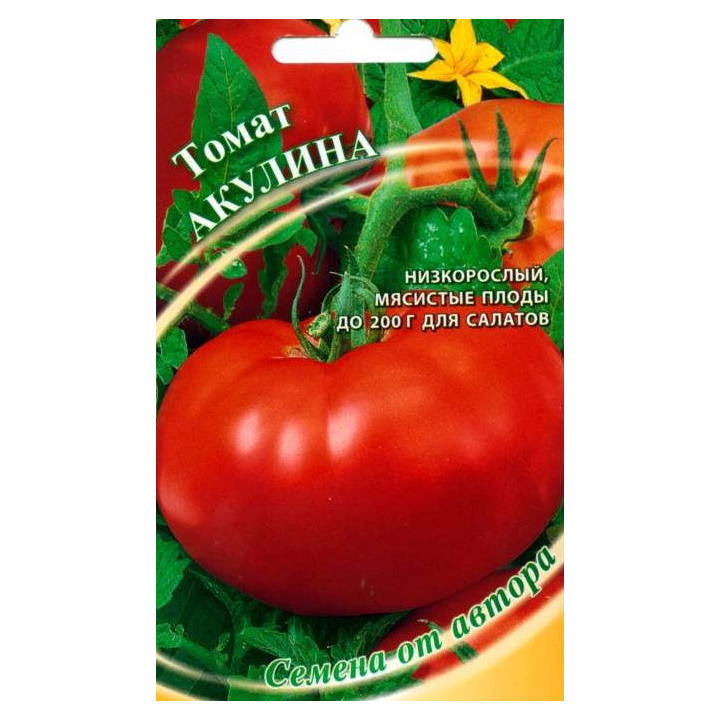 АКУЛИНА