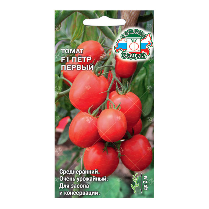 ПЕТР ПЕРВЫЙ
