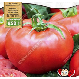 МИНИН