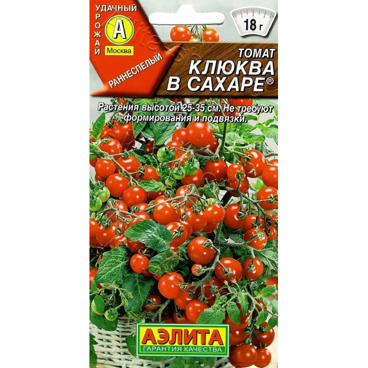КЛЮКВА В САХАРЕ