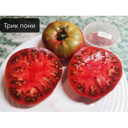 ПОНИ