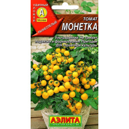 МОНЕТКА