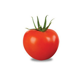 ФАИДРА