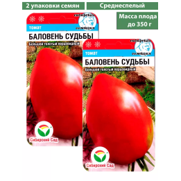 БАЛОВЕНЬ СУДЬБЫ
