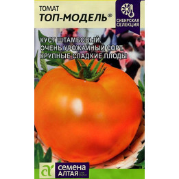 ТОП-МОДЕЛЬ