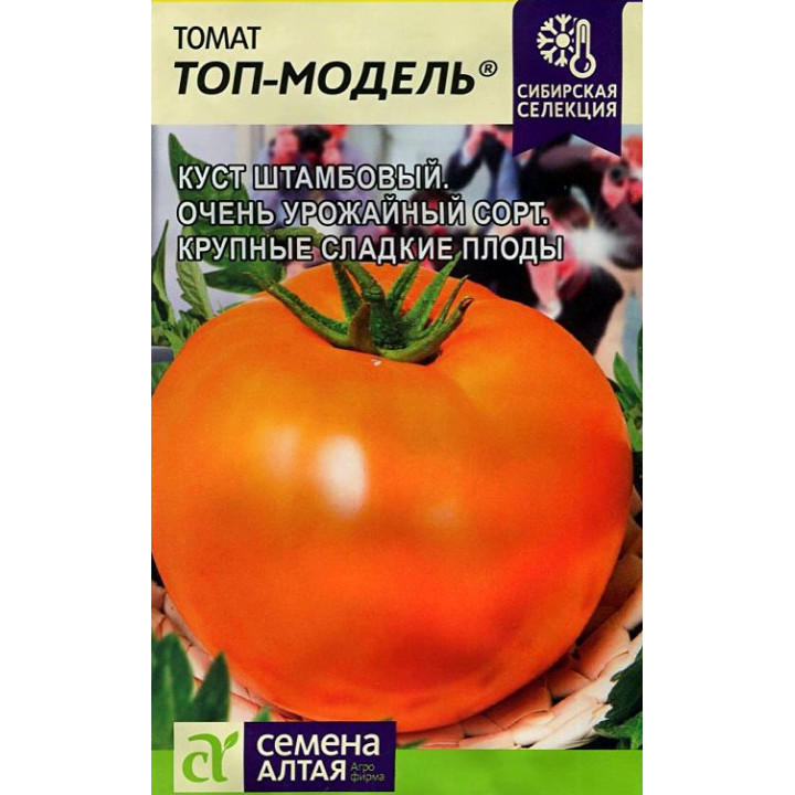 ТОП-МОДЕЛЬ